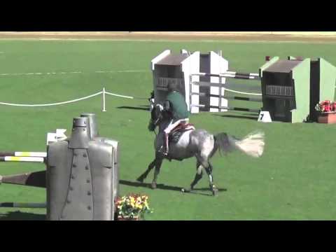 Cassiago Part 2 Sydney Royal 2015 -1st Place