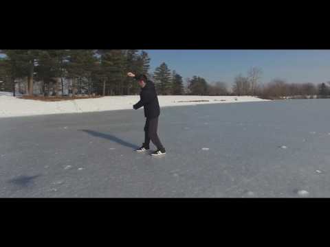 Winter Wildlife in Podravina