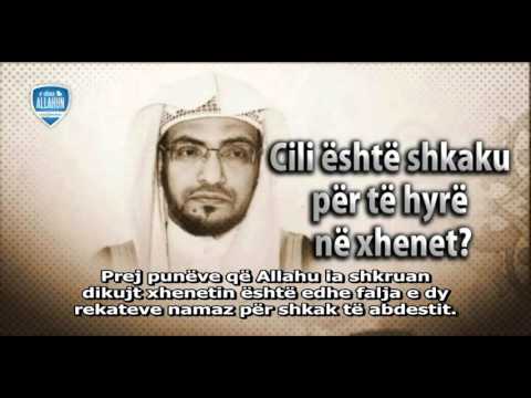 Disa vepra që të fusin në xhenet Shejh Megamisi