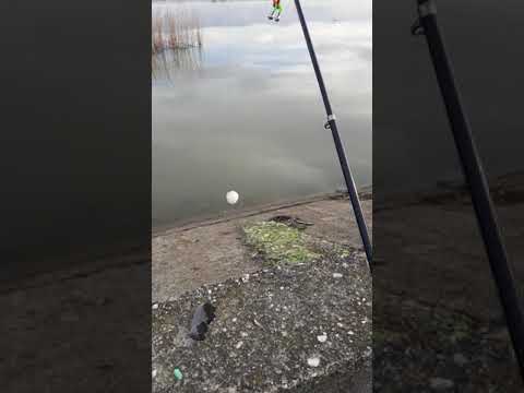 Lacul de acumulare surveni gorj