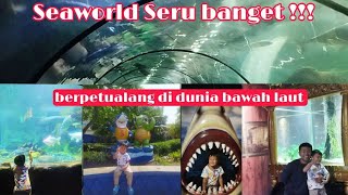 Download lagu Getting to Know the Underwater World | Latest Review of Seaworld Ancol mp3 Download lagu Getting to Know the Underwater World | Latest Review of Seaworld Ancol mp3