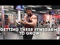 Off Season Meal Prep Made Easy | Full Arm Workout