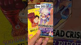 Day of bulk #subscribe #onepiece #cards #onepiecetcg #onepieceedit