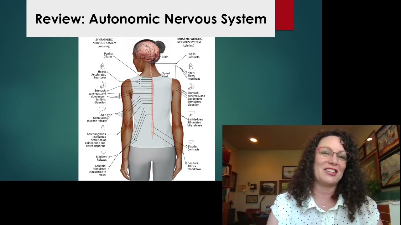 1 1 Physiological arousal