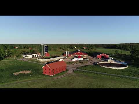 Åkerby (2 juni 2020)