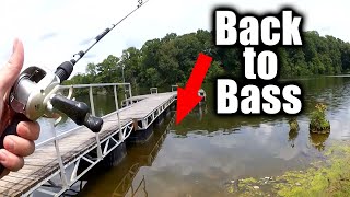 Things Are Changing Fast! Early Summer Bass Fishing From Shore