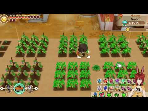 {1stPlayThrough}Story Of Seasons Friends of Mineral Town(Part13 last few minutes)