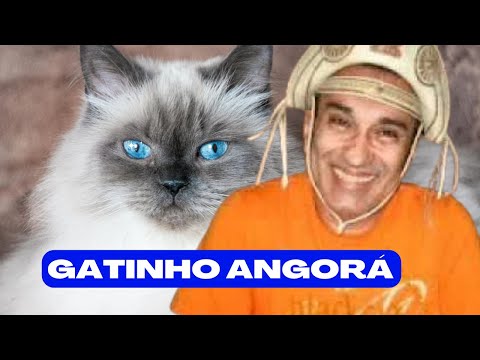 Sandro Becker e Selma - Gatinho Angorá - 1986 - Forró Nordestino - Saudades Daquele Tempo