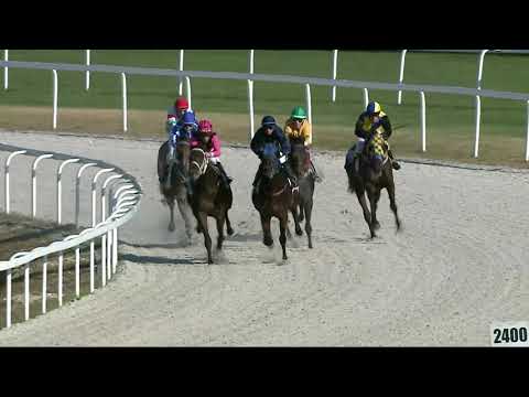 2021.10.03. 06. futam - ZSIBÓI HENDIKEP (III.o.) (szintetikus pálya)