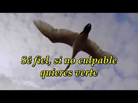 565 ¡Ve, ve oh Sion!