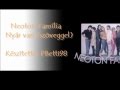 Neoton Família - Nyár van (dalszöveggel) 