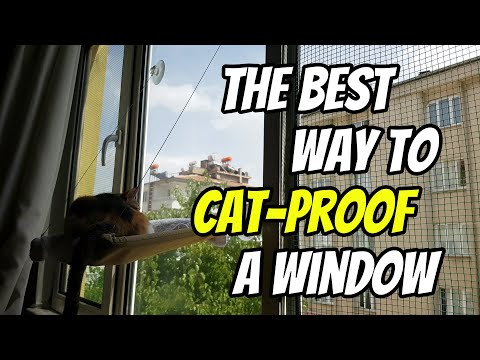 YouTube video about: How to stop cat jumping on window sill?