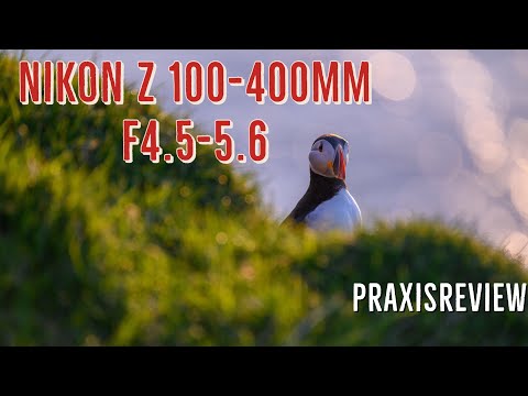 Nikon Z 100-400mm f4.5-5.6 Test (Praxistest)