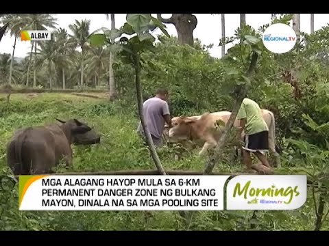 Mornings with GMA Regional TV: Bantay-Bulkan