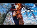 Extraction Of Date Palm Juice Traditional Winter Life Of Village People
