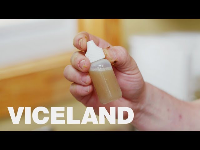 Preparing for an Ayahuasca Ceremony