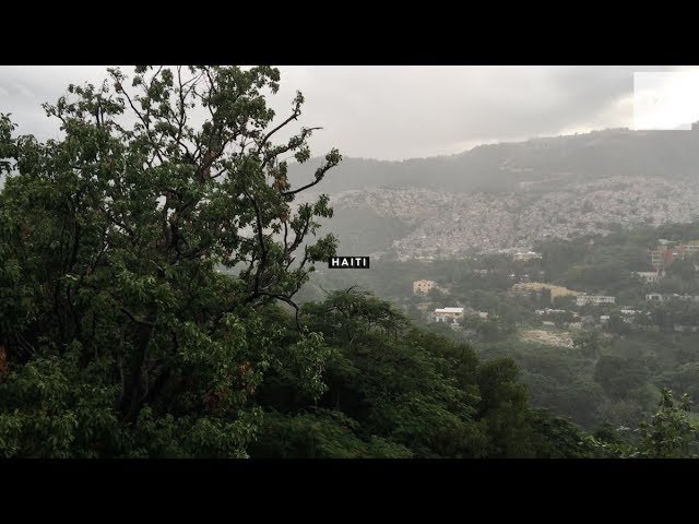 Behind The Story: The Painter Of Jalouzi