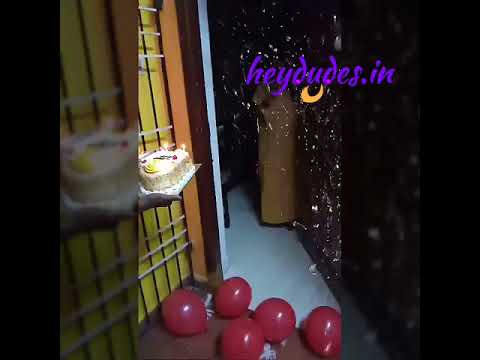 download lagu mp3 mp4 Cake Delivery In Chennai, download lagu Cake Delivery In Chennai gratis, unduh video klip Cake Delivery In Chennai
