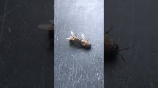 Download lagu It Started With A Kiss! 💋 😘 mp3