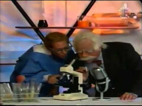 El Güiri Güiri en Alemania 2006 - Torcuato del Alveolo