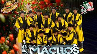 ✅Banda Machos Corridos y Rancheras 🥇Banda Machos 30 Grandes Exitos mix 2025