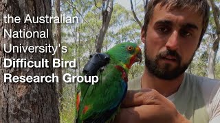 Saving Tasmania's difficult birds
