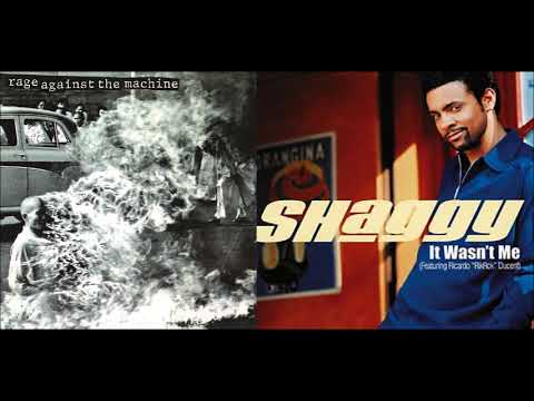 It Wasn't Me Killing In The Name - Shaggy ft Rikrok x Rage Against The Machine