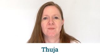 Thuja Homöopathie: Anwendung & Wirkung
