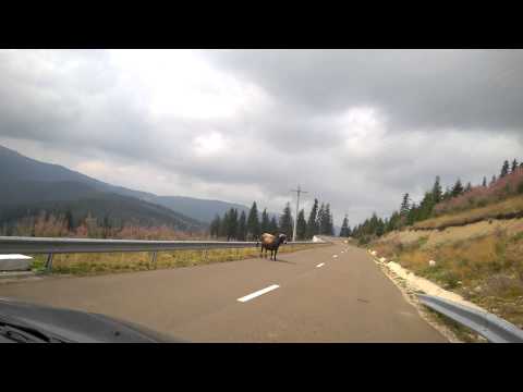 Transrarau - Urcare dinspre Pojorâta