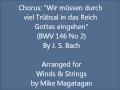 Chorus: "Wir müssen durch viel Trübsal" (BWV 146 No 2) for Winds & Strings
