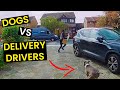 TOP 23 - Dogs VS Delivery Drivers | BEWARE Of The Dog!
