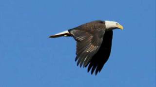 ΕΓΩ ΓΕΝΝΗΘΗΚΑ ΑΕΤΟΣ - ΑΝΤΩΝΗΣ ΡΕΜΟΣ