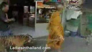 Amazing Thailand - The Tigers &amp; The Priest