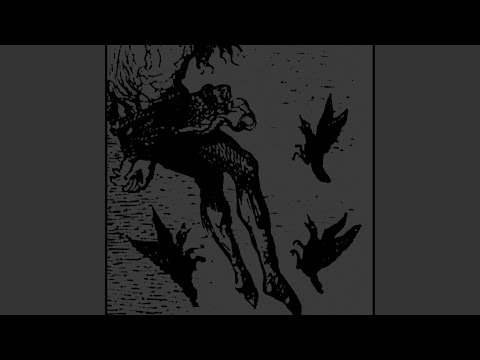 As Embers Dress the Sky