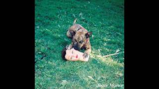 Joyce Manor - Last You Heard Of Me