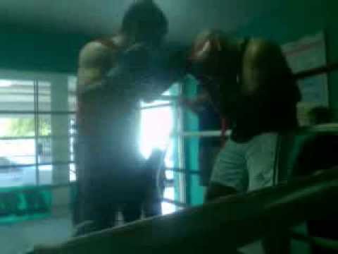 LEONARDO BIANCHI BOX