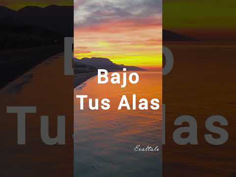 Salmos 4091 - @ECCOSMUSIC -@uncorazonorg  