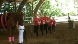preview picture of video '[Voltige Equestre] Imposé - Concours du 23.04.10 à Vertou'