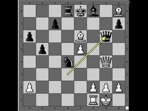 Mečevi šampiona - KASPAROV vs ANAND - Španjolsko otvaranje 10- ta partija # 289