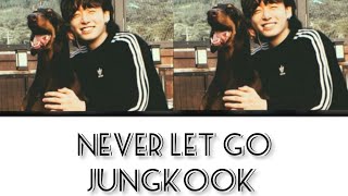 Download lagu Jung Kook 'Never Let Go' Lyrics [2024 BTS FESTA] (정국 Never Let Go 가사) #bts #btsfesta mp3