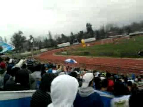 "Los cruzados" Barra: Los Cruzados • Club: Universidad Católica