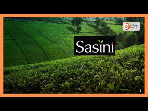 Sasini commits to sustainable growth, living wages, and net zero by 2050