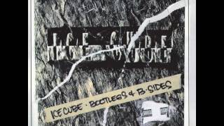 Ice Cube - 24 Wit An L