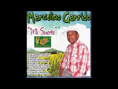 EL GALLO PATA E MARTILLO MARCELINO GARRIDO MUSICA LLANERA VENEZOLANA 1