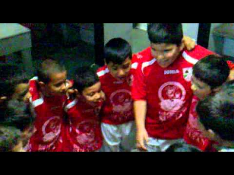 prebenjanin arbolito