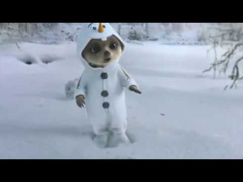 Compare The Meerkat Advert (Oleg's Magical Dream )