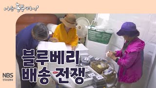 [나는농부다 258회] 블루베리 배송 전쟁