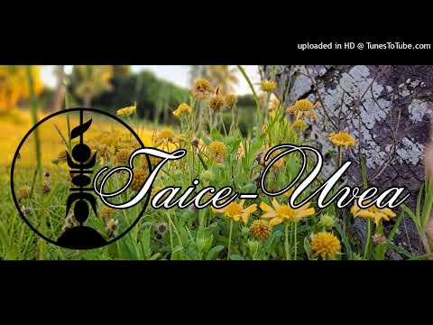 ⚫️🔹️[ASH BLACC x Pardon (REMIXZOUK) 2023🔹️⚫️