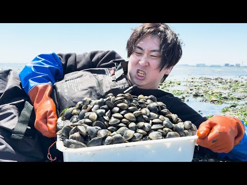 【バケツ満タン】潮干狩りの極意　完璧に伝授します。
