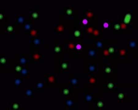 tockice mario grubisic